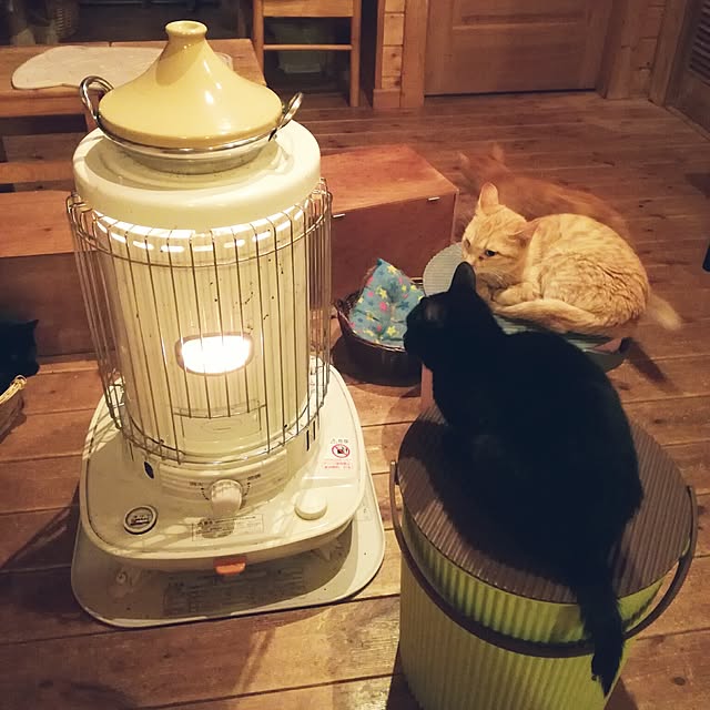 Maki-nekomamireさんの実例写真
