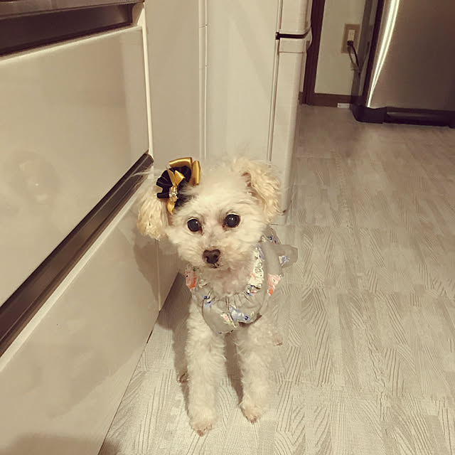 flowerさんの実例写真