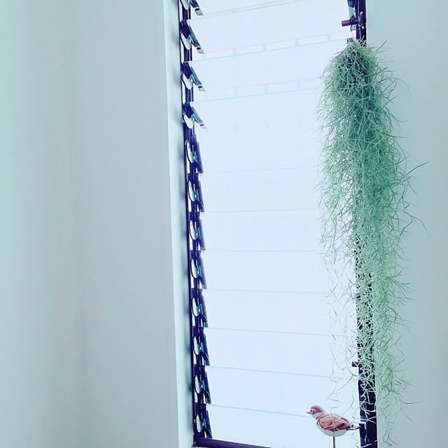 saeさんの実例写真