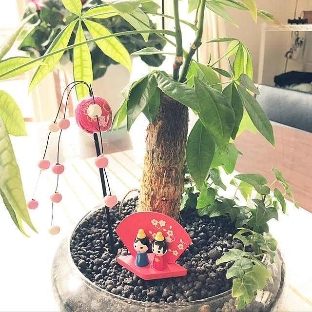 kotaro_mamaさんの実例写真