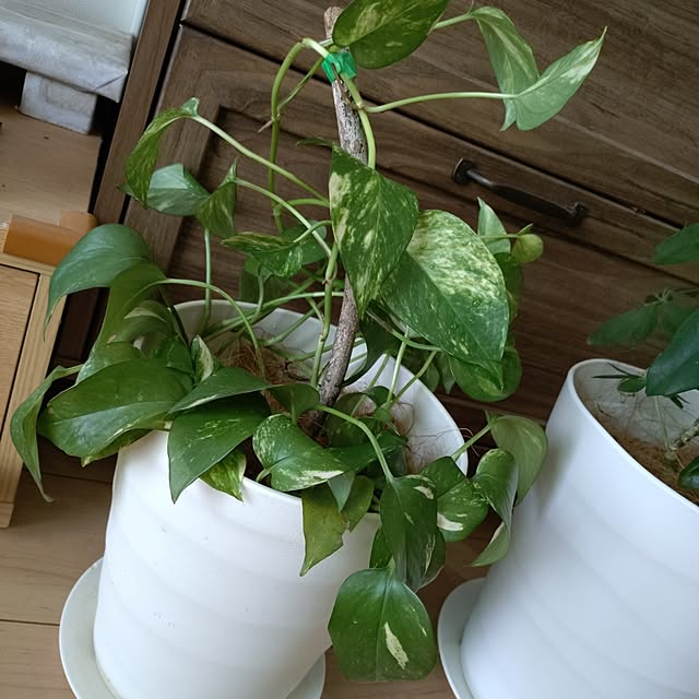 happytearsさんの部屋