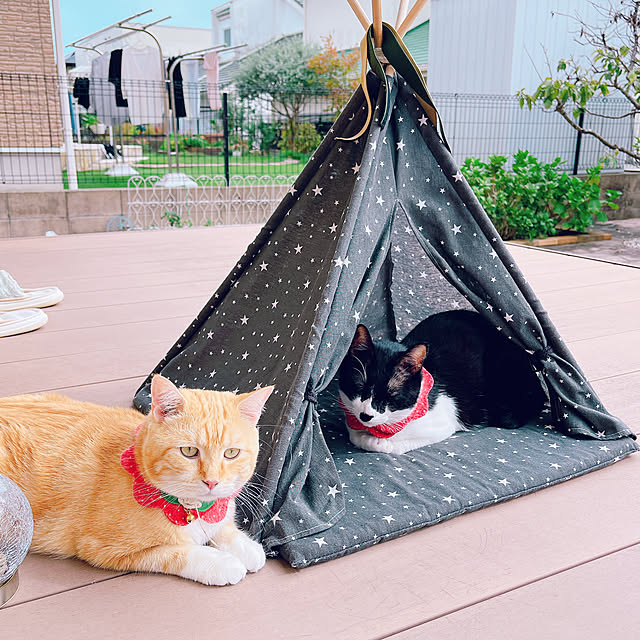 moolさんの実例写真