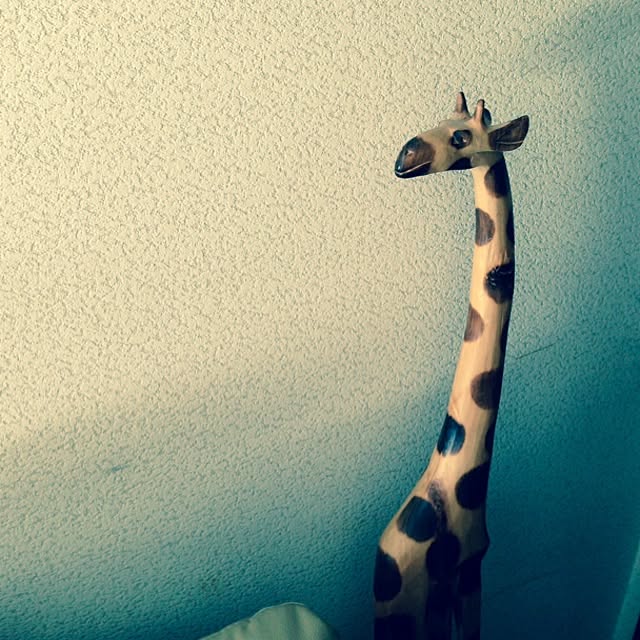 zoosaさんの実例写真