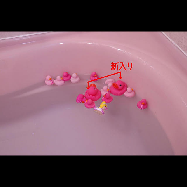 naochiさんの実例写真