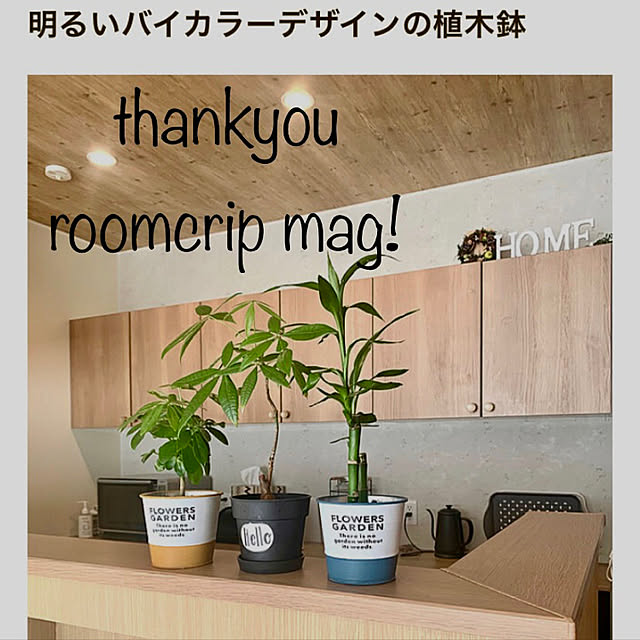 shin-chaa-mamaさんの実例写真