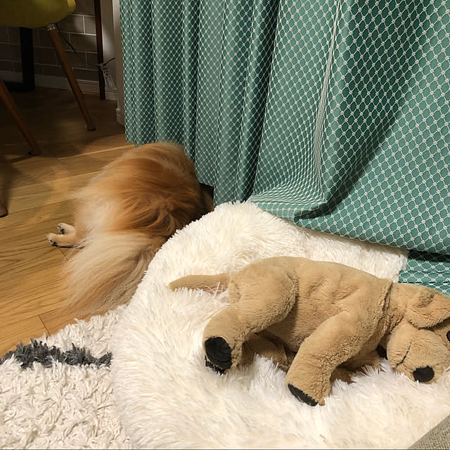rromomo1さんの実例写真