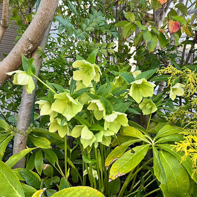 porinさんの部屋