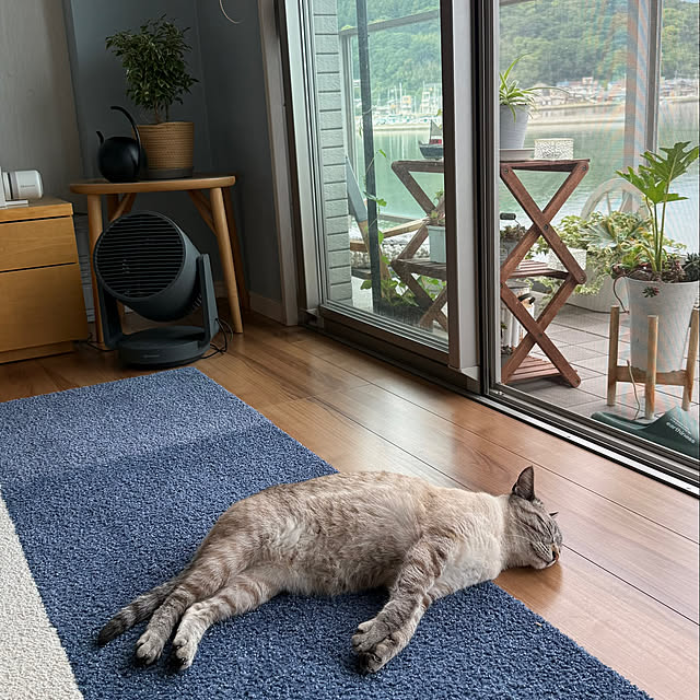 amさんの実例写真