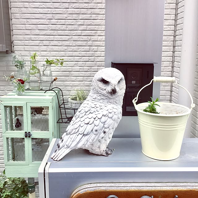 suzyさんの実例写真