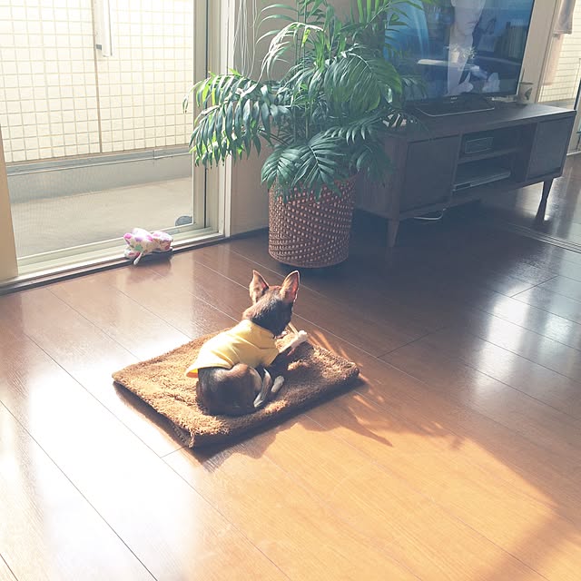 nayukonaさんの実例写真