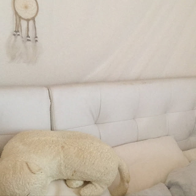 konakonaさんの実例写真