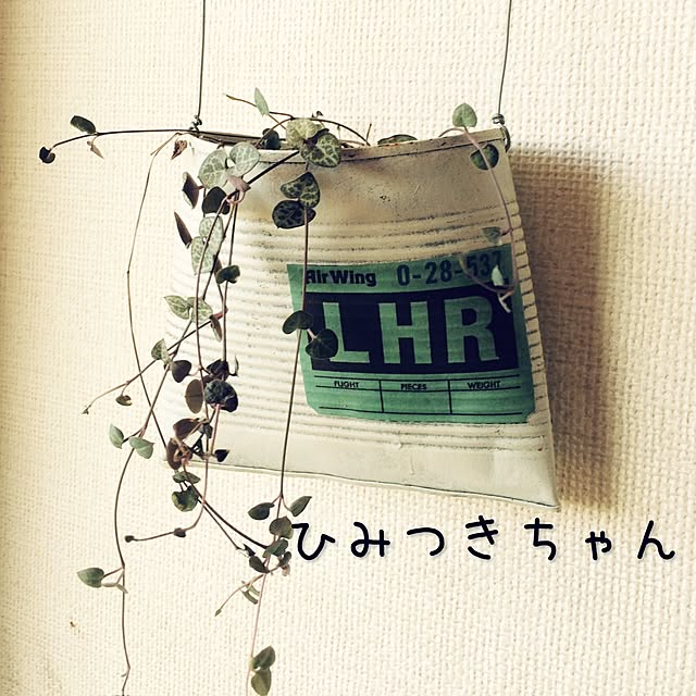 zu_kkyyさんの実例写真