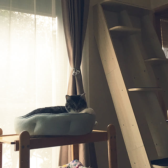 junbuさんの実例写真