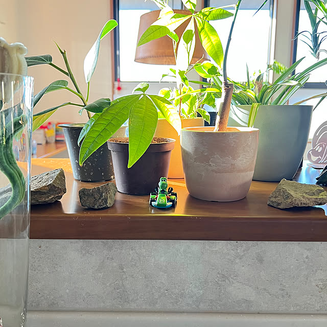 pokowheeさんの部屋