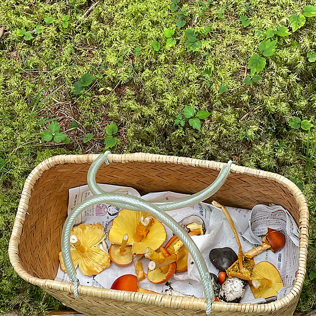 nahonさんの部屋