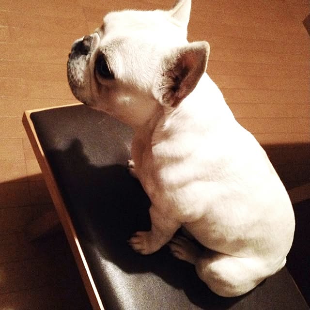 toshimanさんの実例写真