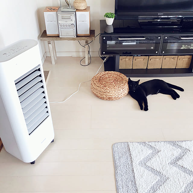 nekomiさんの実例写真
