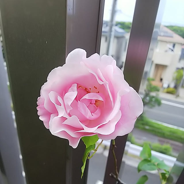 hiromimiさんの実例写真