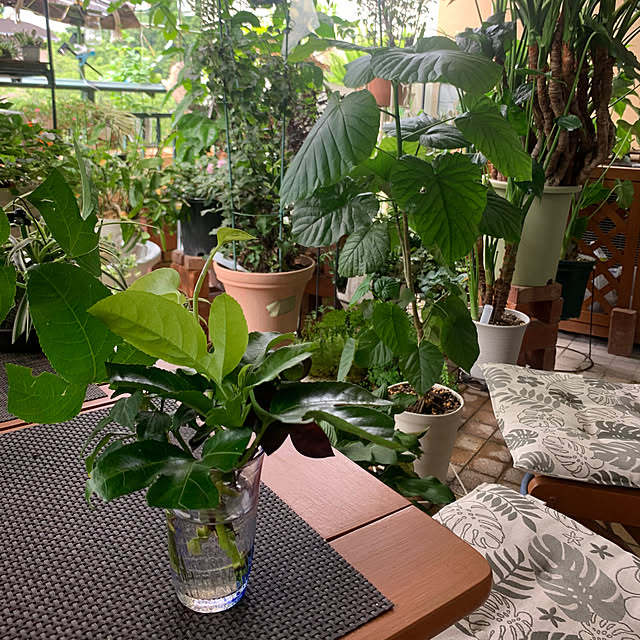 Aqettyさんの部屋