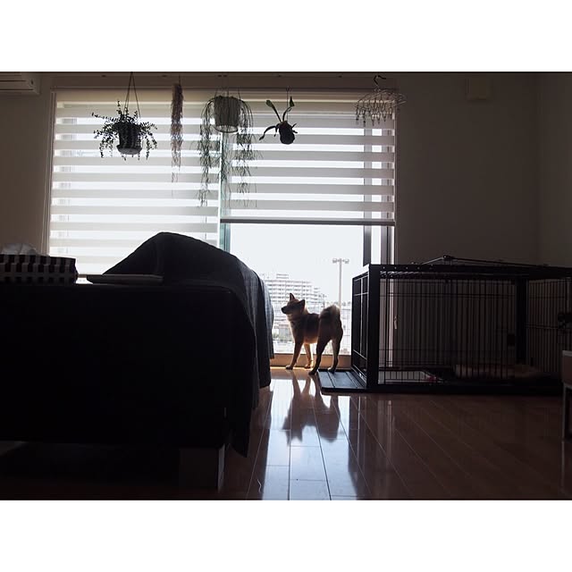 shima...さんの実例写真