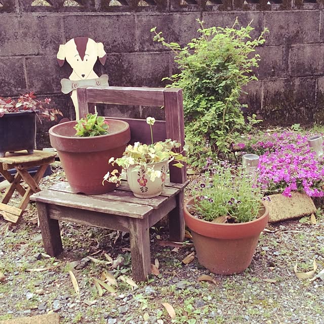 muwaさんの実例写真