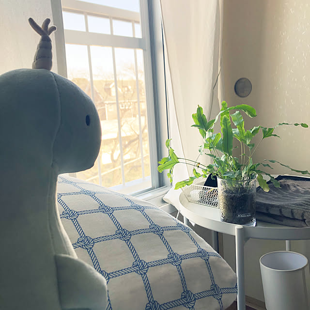 TKさんの実例写真