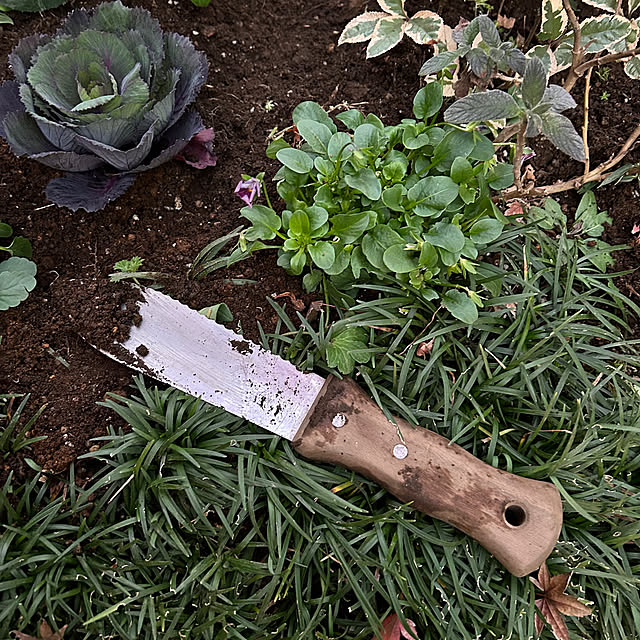 Royal_Gardeners_Clubさんの実例写真