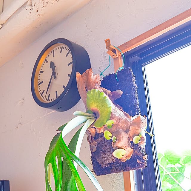 renovelifeさんの実例写真