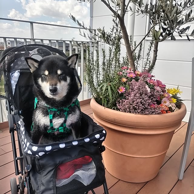 tsutawarimasuさんの実例写真