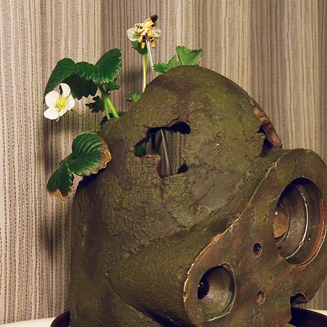 koheさんの実例写真
