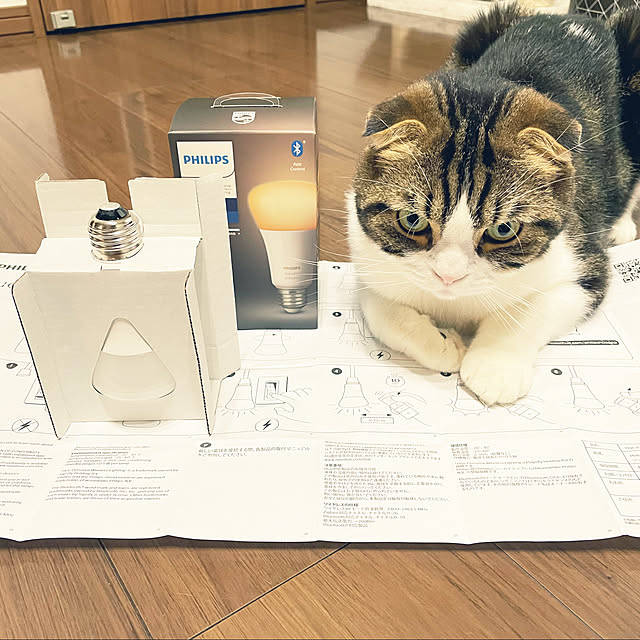 tansukeさんの実例写真