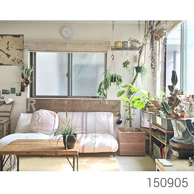 Ruo.さんの実例写真