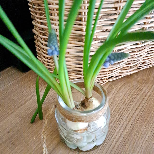 shinoさんの部屋