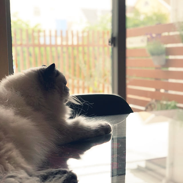 randsellさんの実例写真