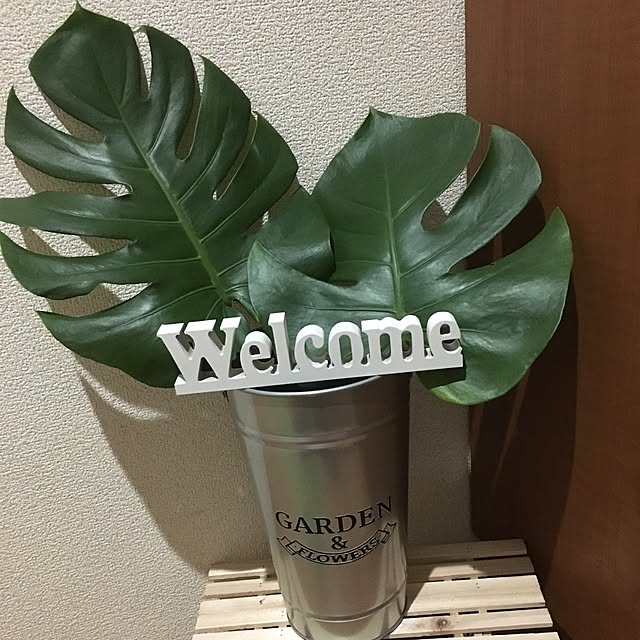 実例写真