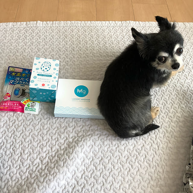 Emiさんの実例写真