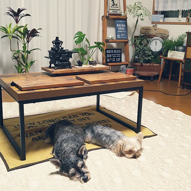 mi-mi23さんの実例写真