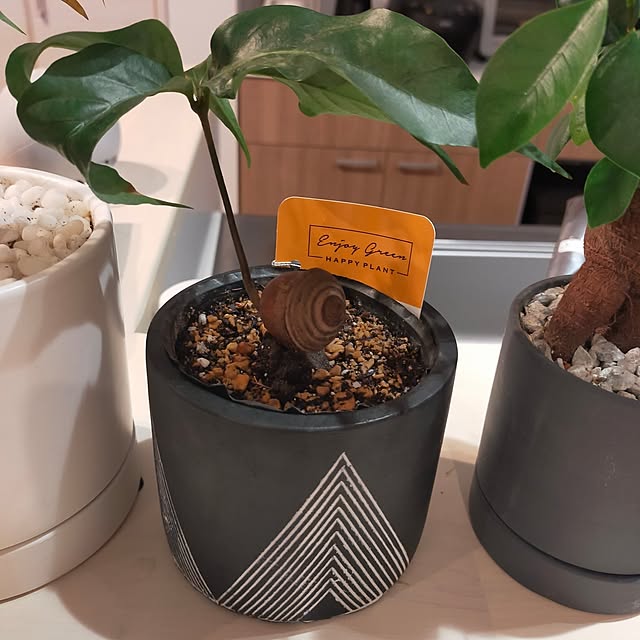 hamuさんの部屋