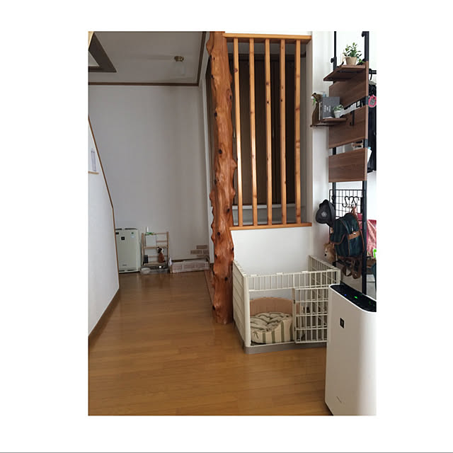RINa_aKIRAさんの実例写真