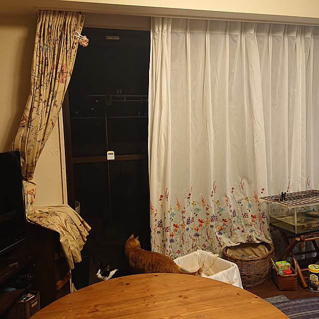 okyosan101さんの実例写真