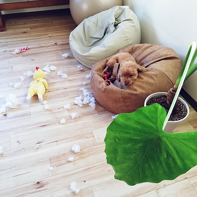 santamamaさんの実例写真