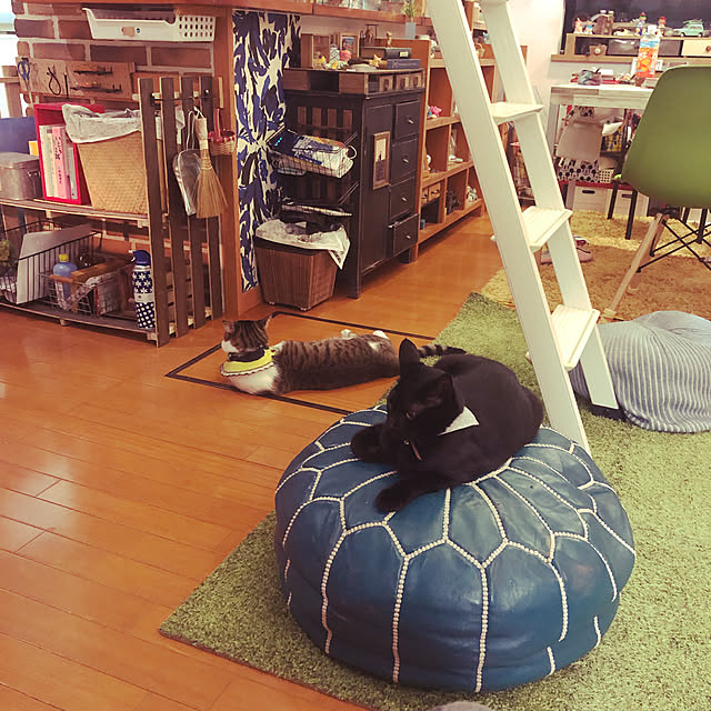 jijiさんの実例写真