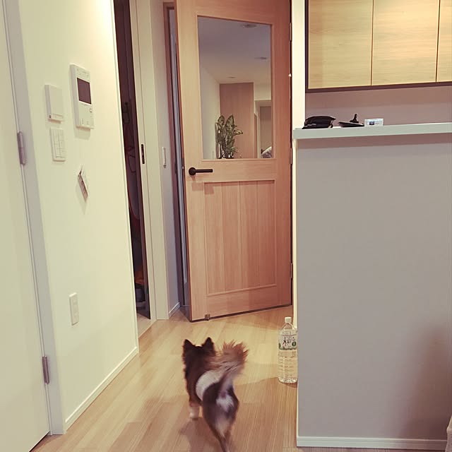Kotaroさんの実例写真