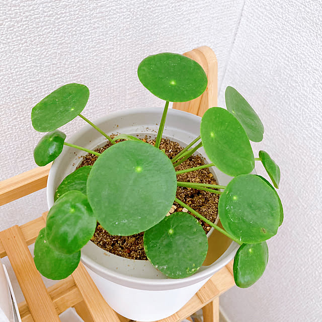 sunabaさんの実例写真