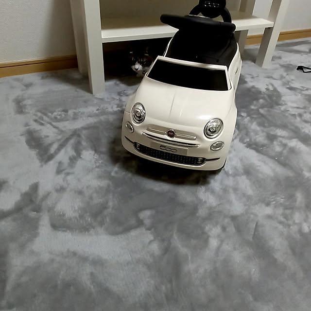 civicglさんの実例写真