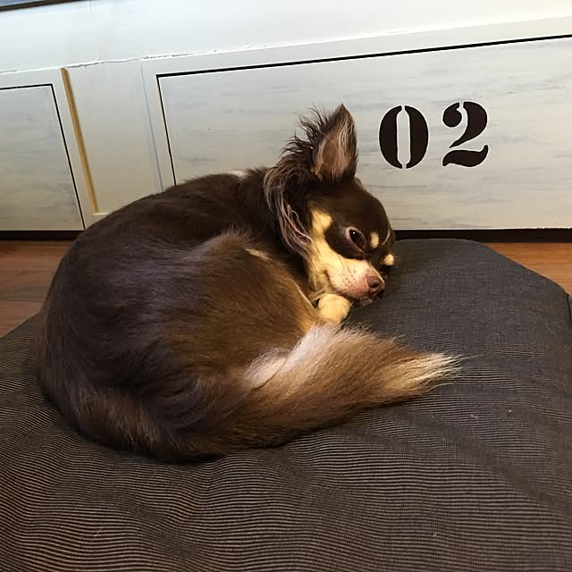 yottan0228さんの実例写真