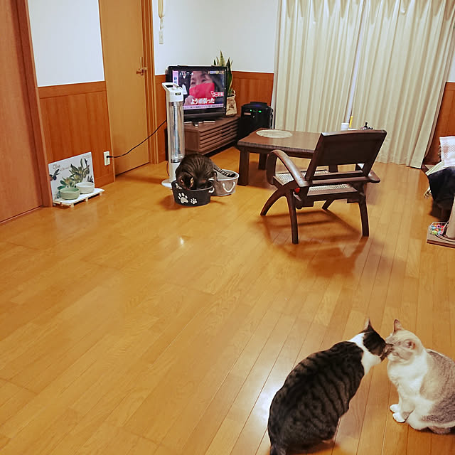nachiさんの実例写真