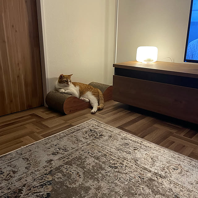 Rioさんの実例写真