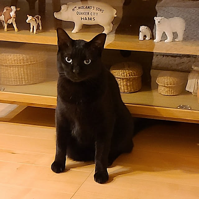 gebeさんの実例写真