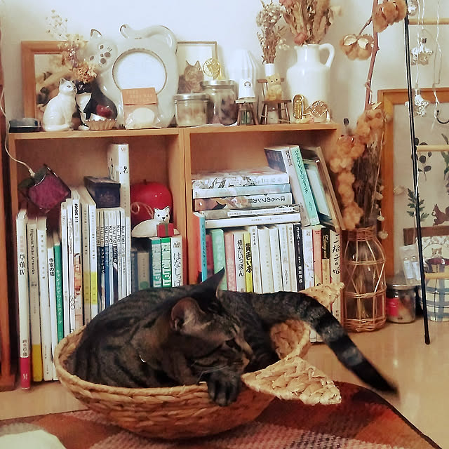 sleepywhaleさんの実例写真